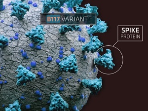 coronavirus-sars-cov-2-cepa-britanica-UK-B117