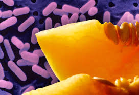 Listeria en frutas