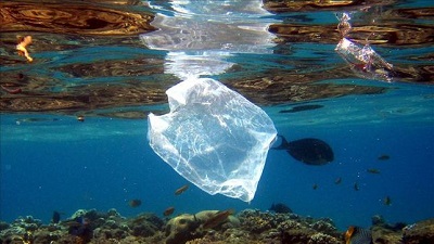 Plasticos en el mar contaminacion alimentaria