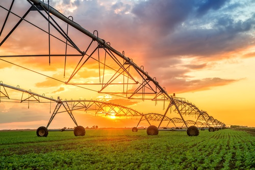 Uso sostenible de plaguicidas en la agricultura