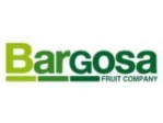 bargosa