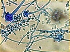 190-m.jpg