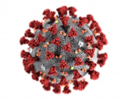prevenir-coronavirus-covid-limpieza-desinfeccion