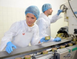 Ifs brc fssc 22000 Implantacion y certificacion